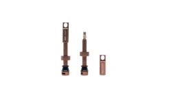 Selcof Tubeless Presta Valves Set -Best Bike Shop WSSELTV P4